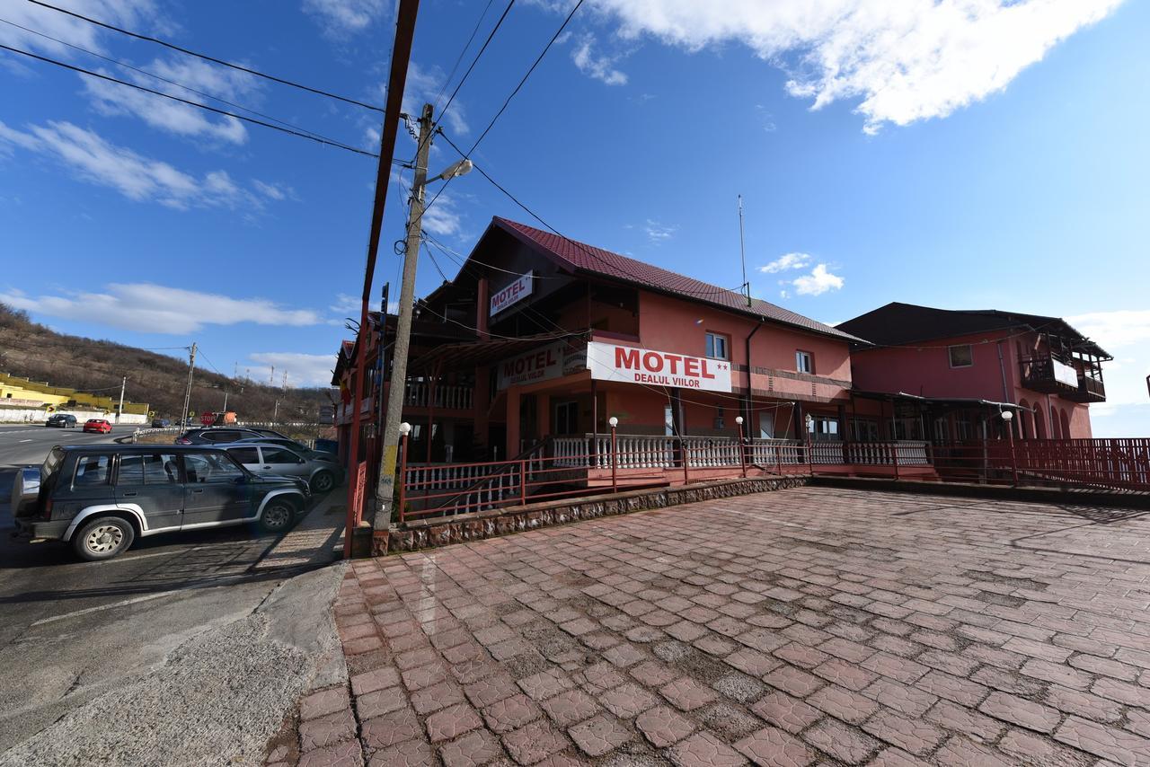 Pensiunea Dealul Viilor Deva Exterior foto